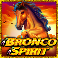 Bronco Spirit